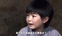 鹤轩身世爆料视频,一段传奇的诞生